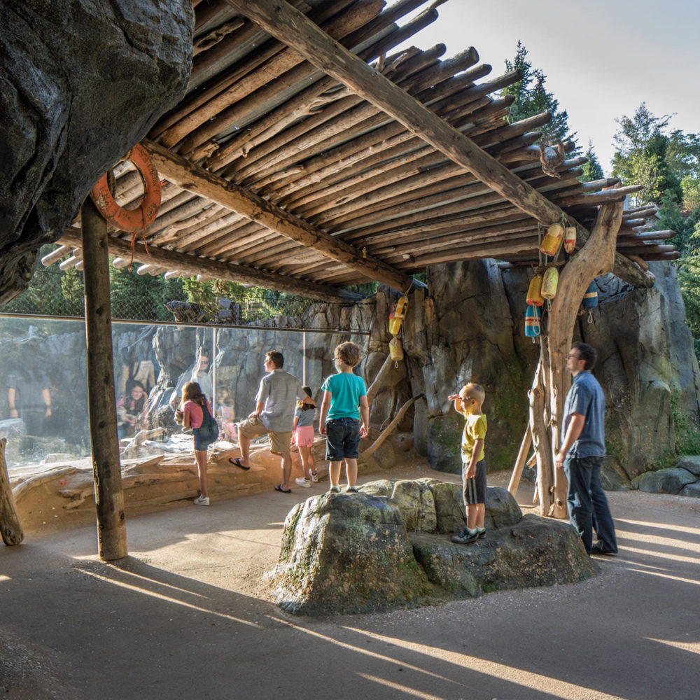 Omaha Henry Doorly Zoo Owen Sea Lion Shores Exterior