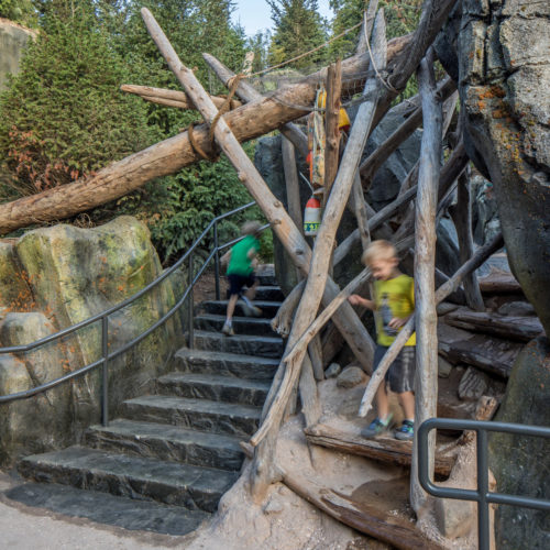 Omaha Henry Doorly Zoo Owen Sea Lion Shores Kids Playing