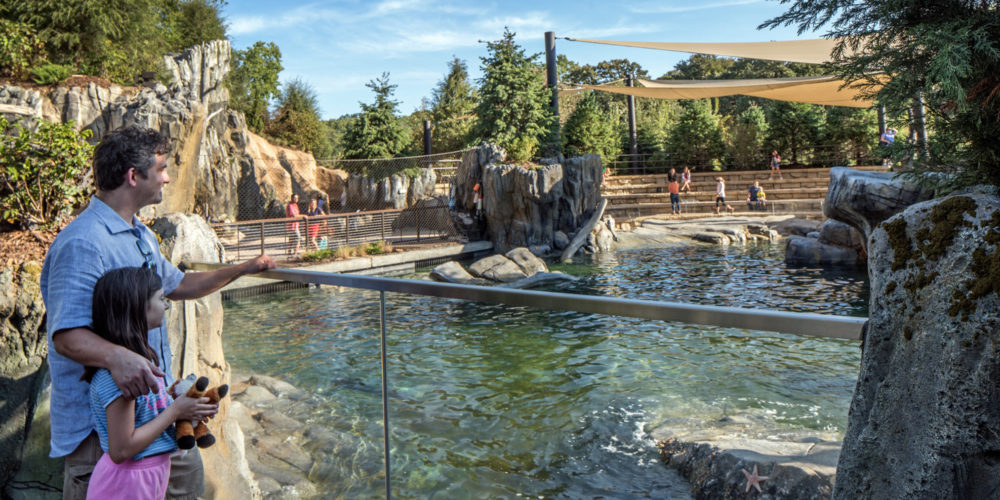 Omaha Henry Doorly Zoo Owen Sea Lion Shores