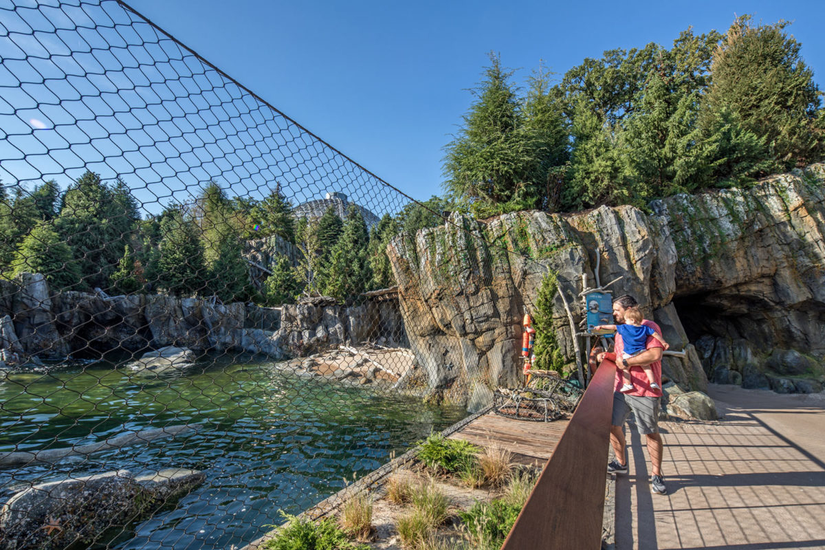 Omaha Henry Doorly Zoo Owen Sea Lion Shores