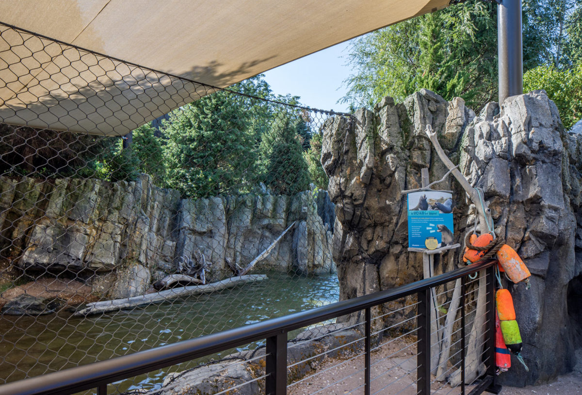 Omaha Henry Doorly Zoo Owen Sea Lion Shores - Holland Basham Architects